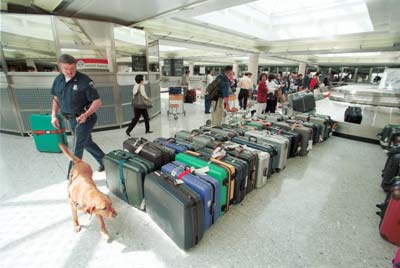 中国夫妇被在海关罚款,中国夫妻在国外被骂