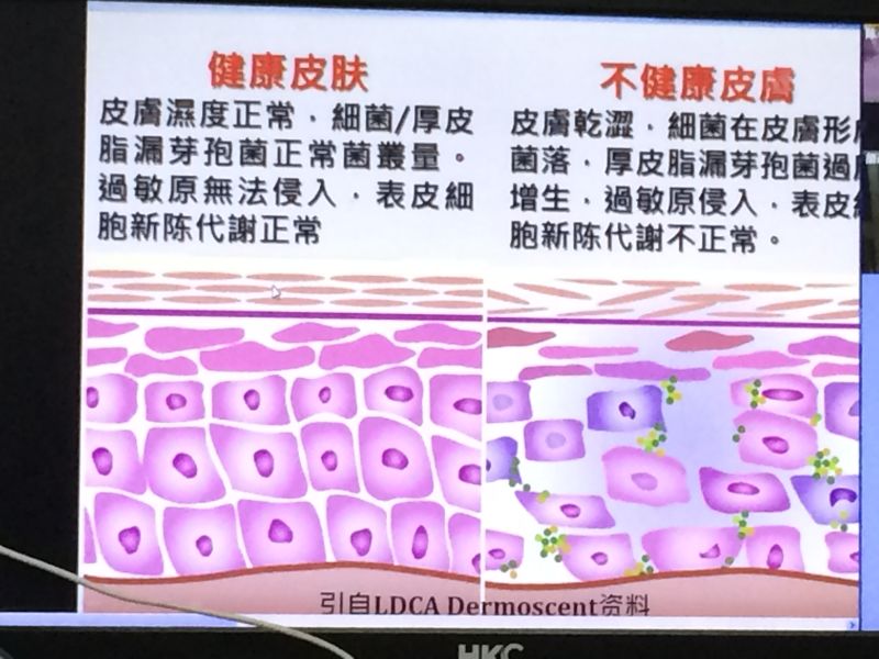 宠物医生如何预防狂犬病,宠物猫狗在什么环境下会得皮肤病