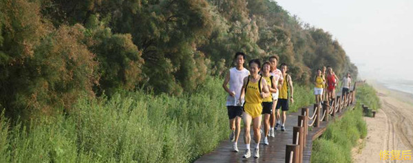 城市双修的缺点,什么是城市双修