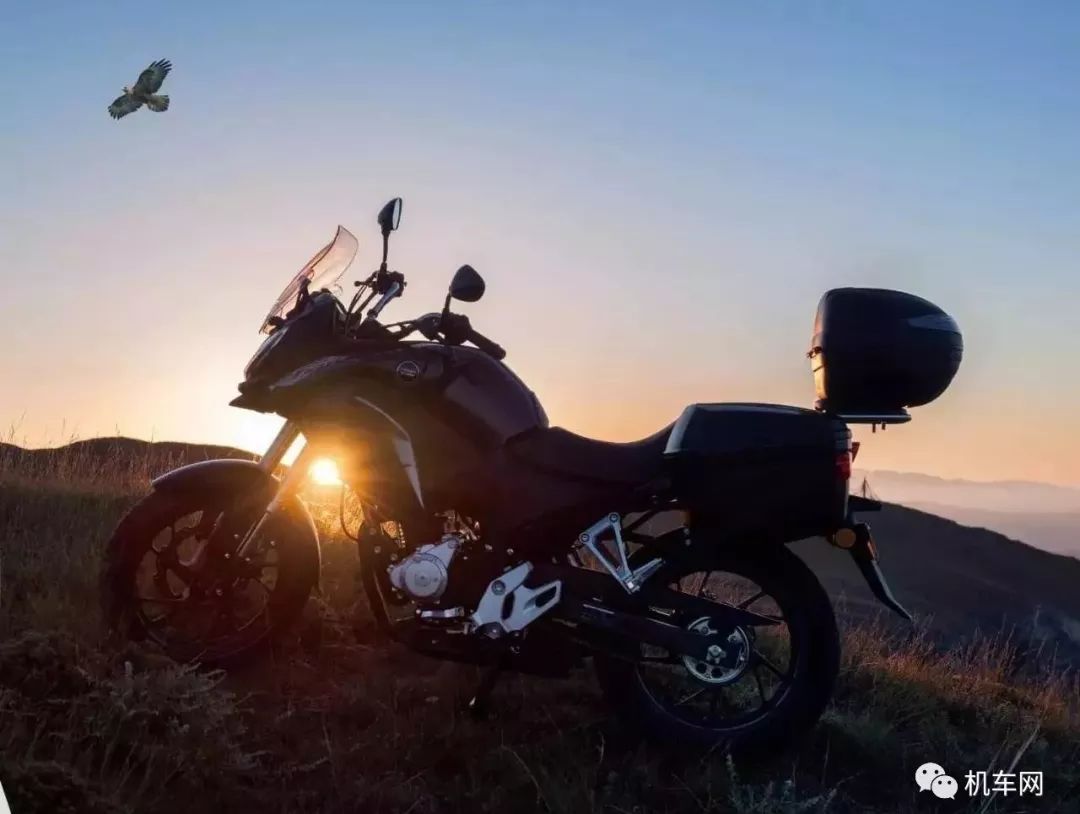 大家车评试驾魏派蓝山,大家评车展