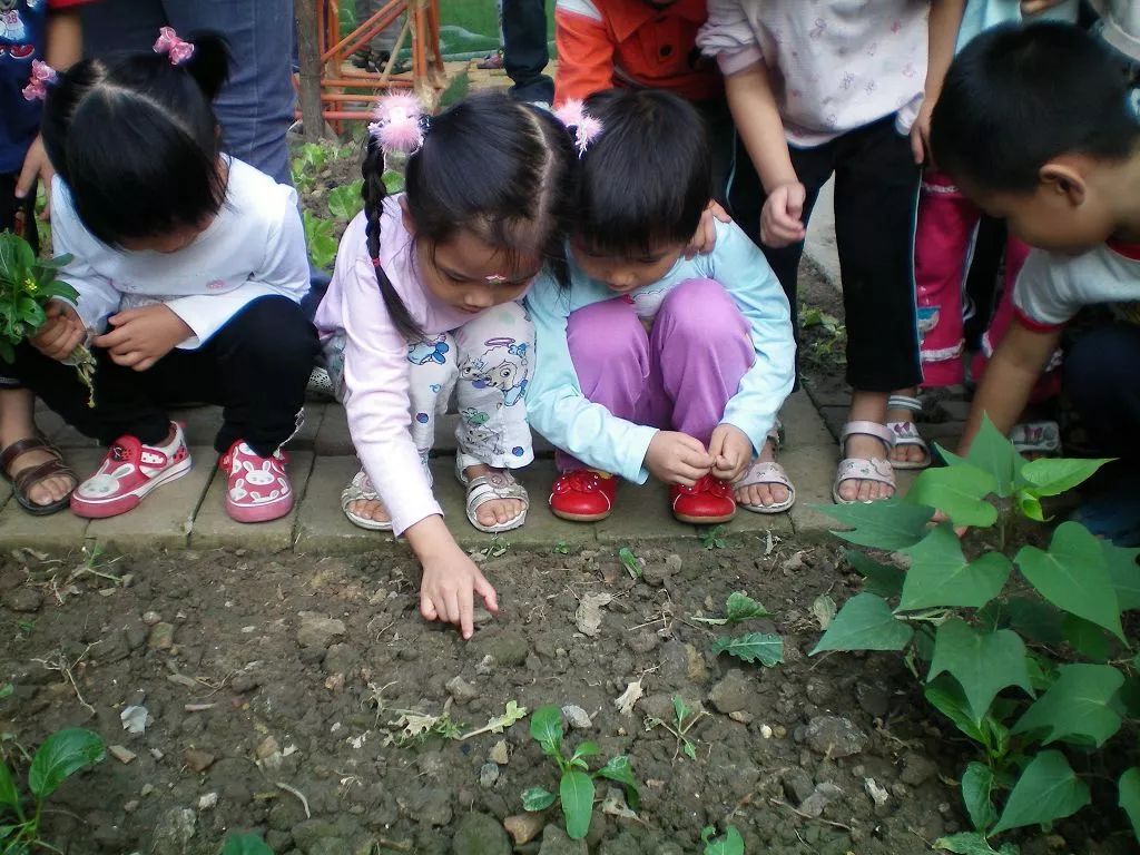 大沥民办幼儿园排名,民办幼儿园师资流失的原因