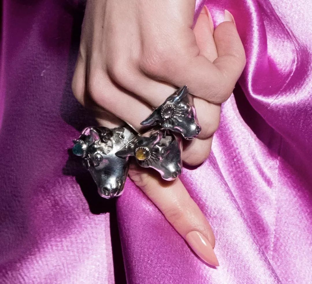 12生肖驾到视频,十二生肖迎接高光时刻