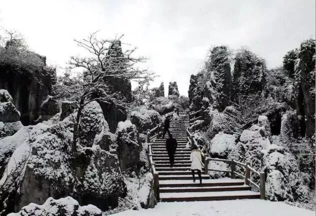 华蓥山风景区下雪了吗,华蓥山2022年2月1号下雪了吗