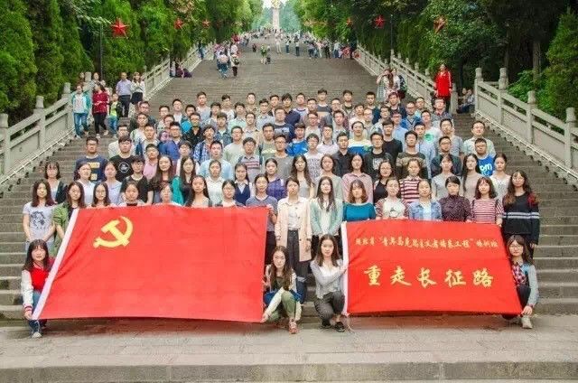 青马是什么马图片,大青马和一般的马