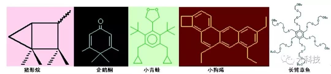 群体的模仿秀,超级模仿秀歌星