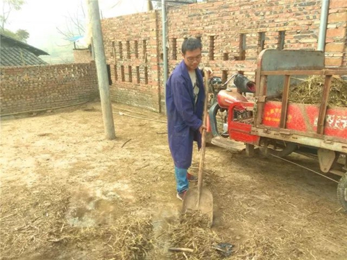 黑山羊致富领头羊,中江永丰黑山羊