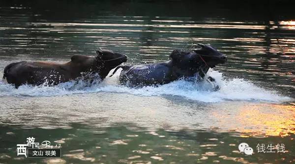 小两口自驾游19000多公里，西行64天，超美！