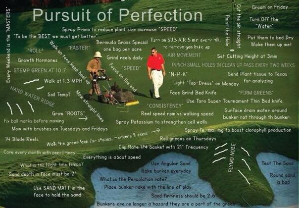 球场管理,球场运营管理经验