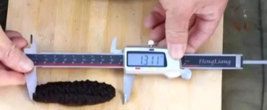 十块钱吃海鲜,吃海参的秘密