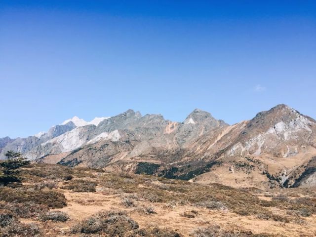 顺风车司机被同行忽悠,顺风车司机同时欺骗多女子
