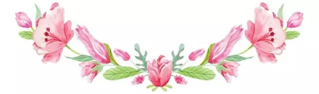 「小渝姐说故事」小村官的大梦想，创业致富“在村头”