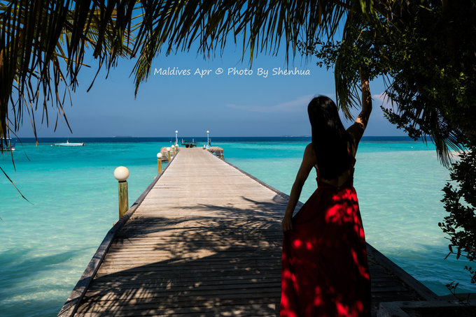 马尔代夫蓝色美人蕉岛,马尔代夫蓝色美人蕉旅游攻略