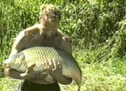 合肥自助鱼火锅,合肥5个火锅店