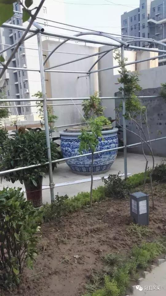 冠县的空中花园,冠县花园