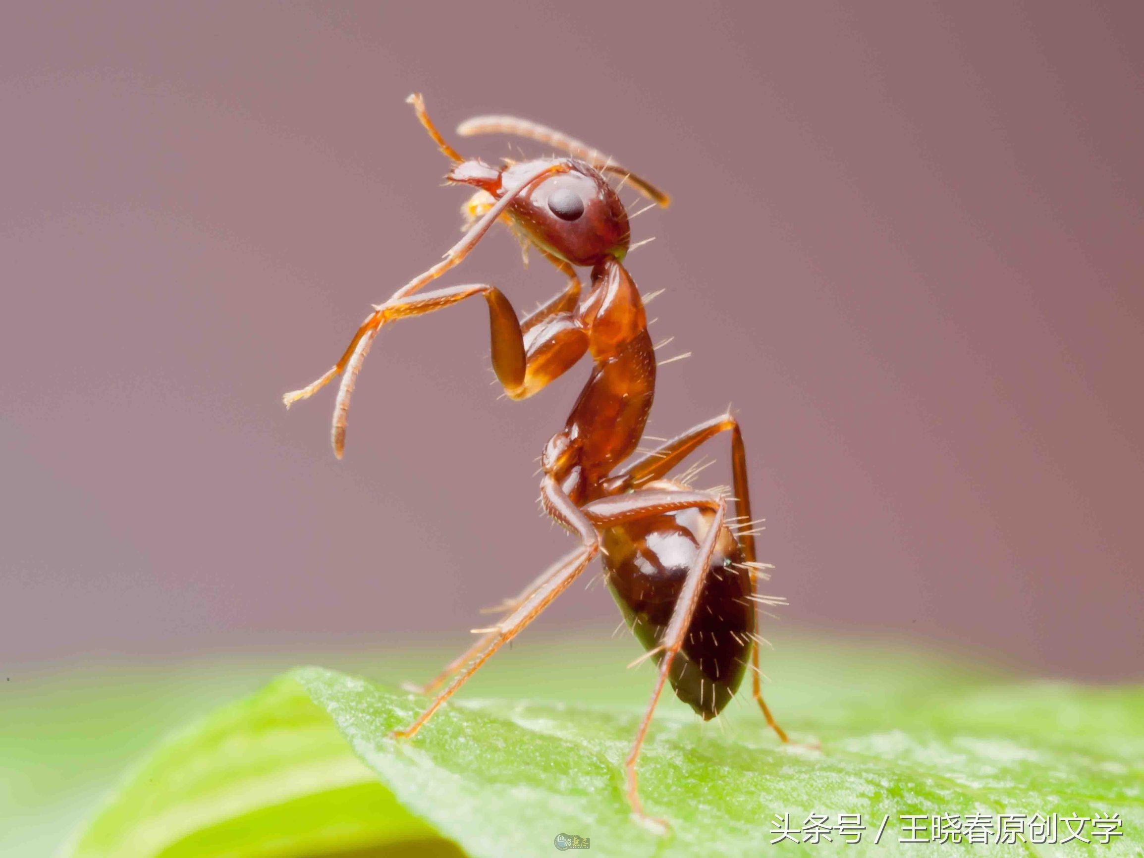 天各一方长相思望穿秋水君可知,望穿秋水君可知