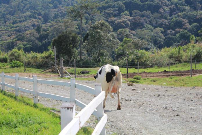 在沙巴亚庇沙滩看日落,沙巴亚庇的美丽落日