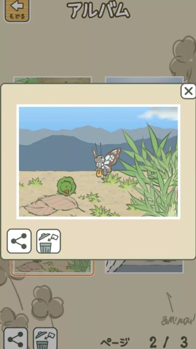 一只蛙的视频,一只蛙