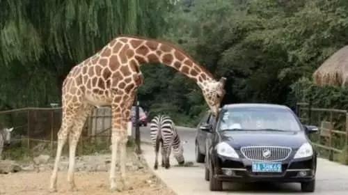杭州各景点门票,杭州各景区门票