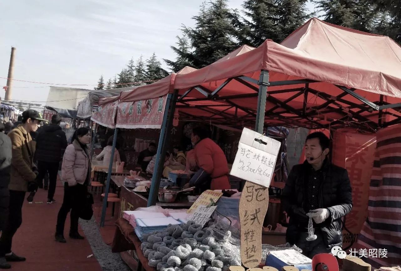 豹子老虎打工记｜壮美昭陵