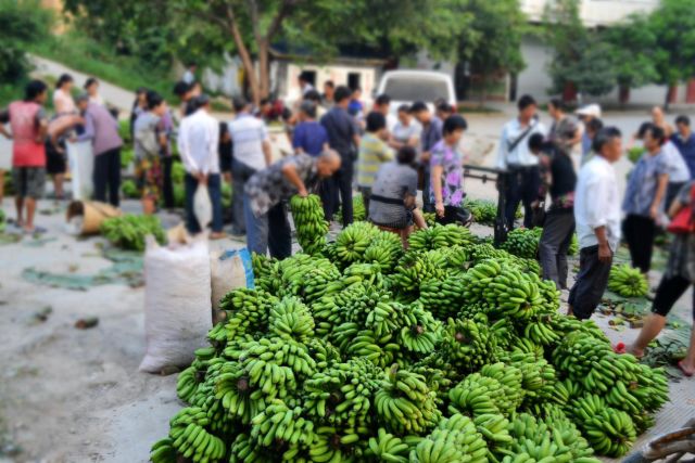 冬日适合晒太阳的地方,周末适合晒太阳的地方