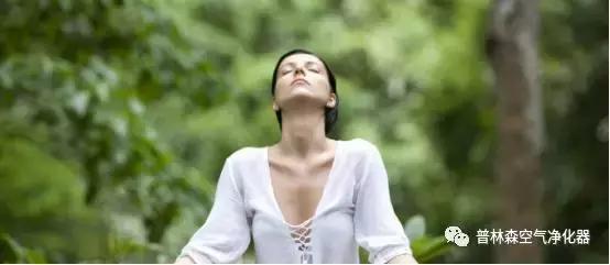 普林森车载空气净化器 (bosch车载空气净化器安装)