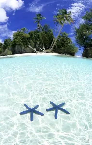 帕劳最新政策消息,帕劳现在怎么样了