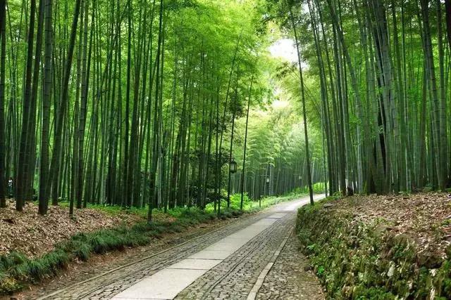 杭州各景点门票,杭州各景区门票