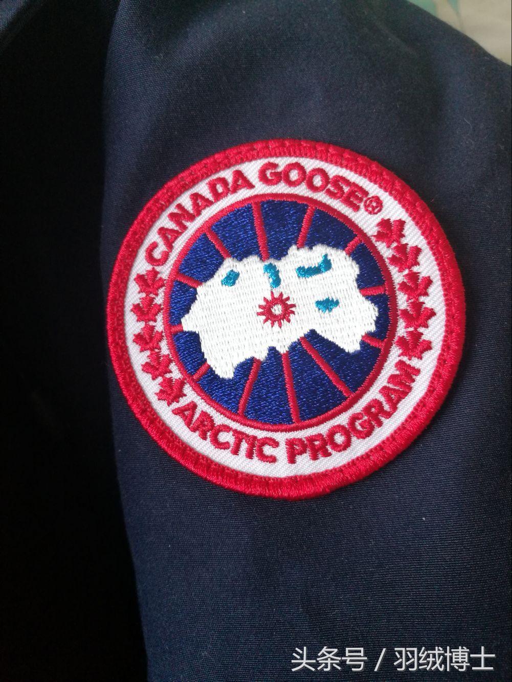 加拿大鹅羽绒服能退出中国市场吗 (加拿大鹅羽绒服企业)