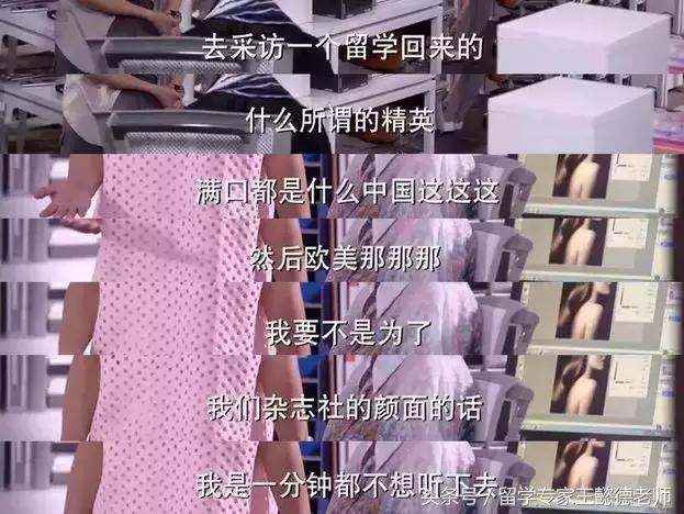 澳洲女留学生上《非你莫属》求职，一开口让所有人尴尬