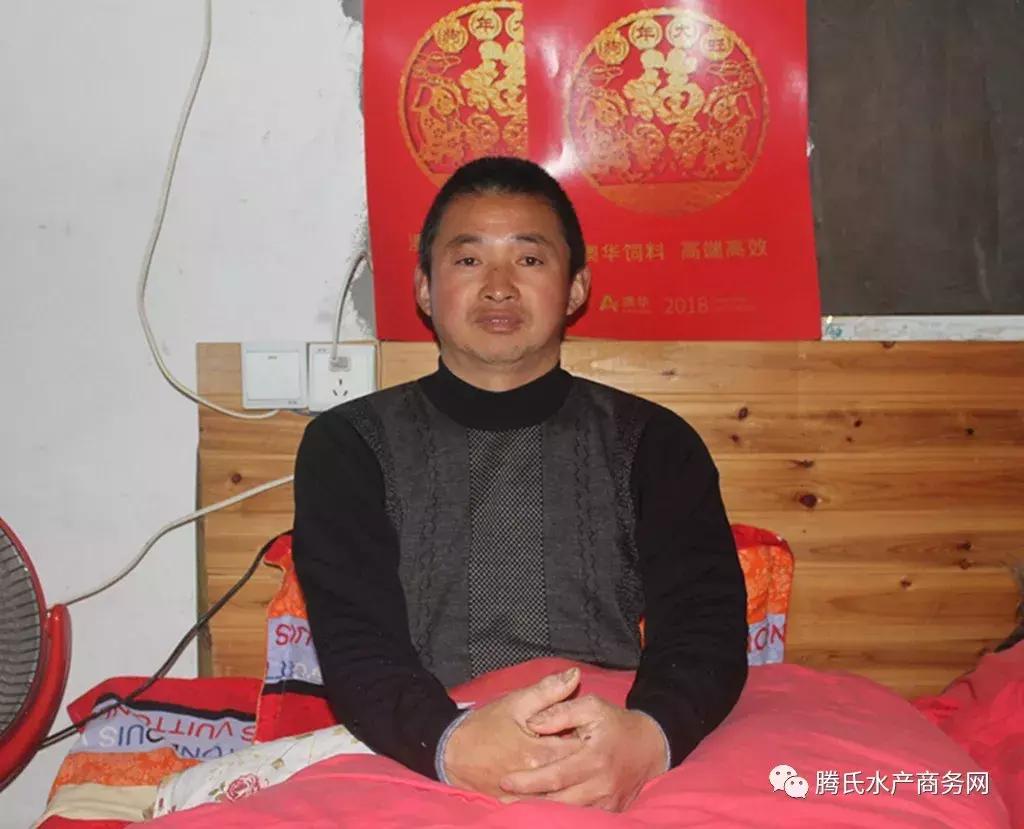 养鱼致富之路及方法,养鱼技术与养鱼视频