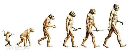 商用冰柜行业排行,冰柜行业内幕