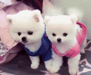 北大校训自强不息厚德载物,北大的10条校训是什么