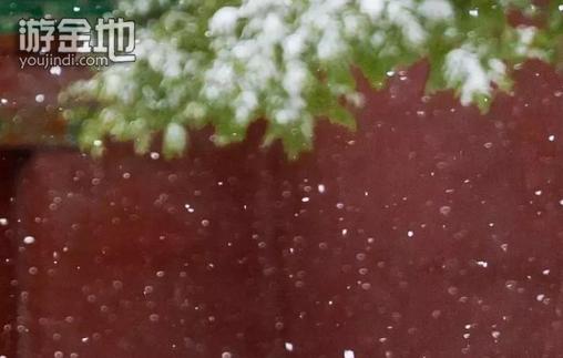 战胜自我心中的迷茫,战胜人生