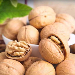 从新疆去内地带什么特产,这些土特产送亲朋好友有面子