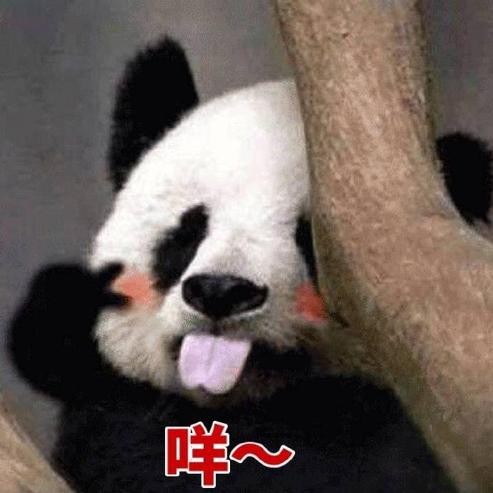 好用的爽肤水,爽肤水好用的单品