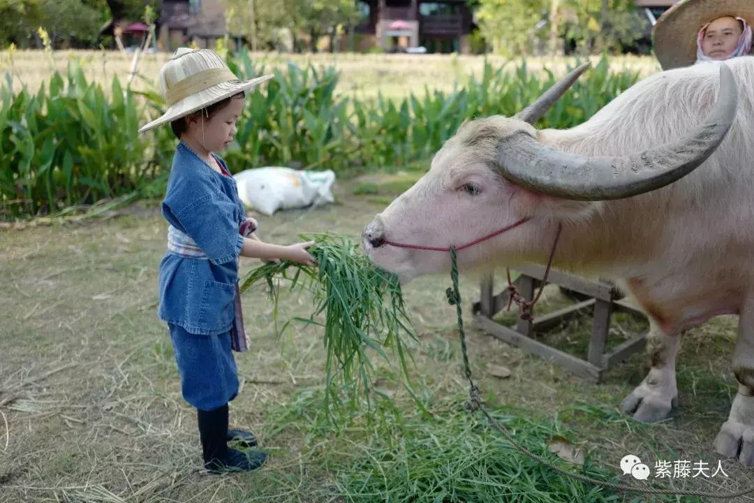 去泰国清迈旅行攻略,最新泰国清迈旅游攻略