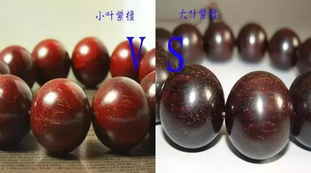 檀木世家,檀木是怎么形成的