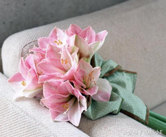 常见花的花语大全简单常见,常见花语大全50种花的花语