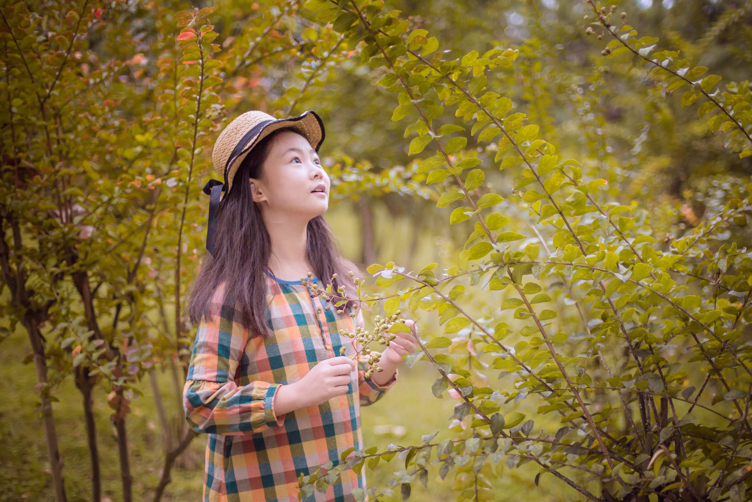 民族乐器与西洋乐器碰撞——竖琴三弦与双簧管新春音乐会将举办