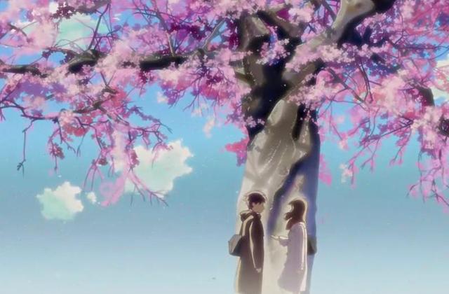 秒速五厘米电影解说,每日一部好电影推荐