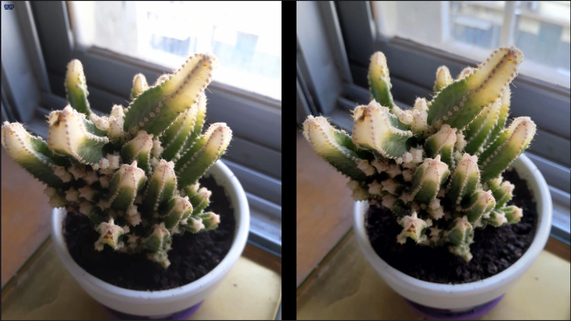 新出的魅蓝s6怎么样,魅蓝S6评测