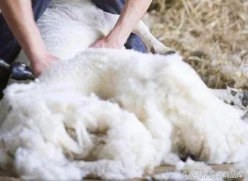 澳洲直邮绵羊油,好用澳洲绵羊油