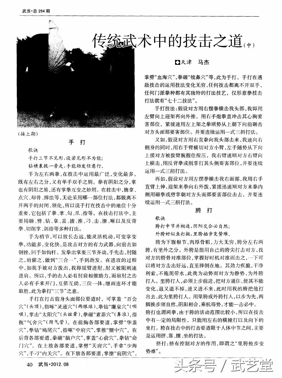 传统武术之技击之道视频,少林传统武术技击教学