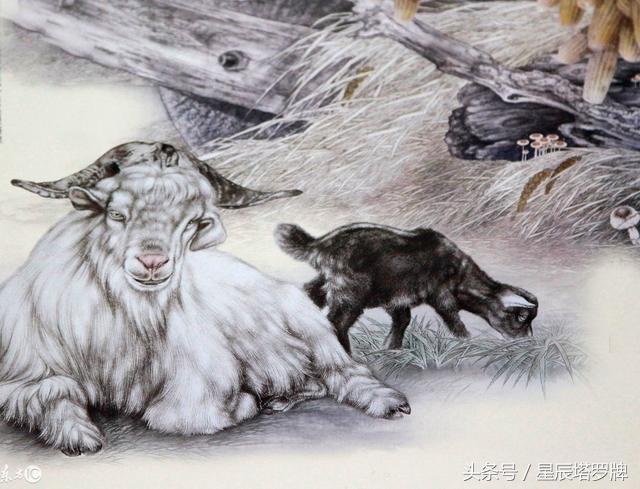 羊人出生日,羊人出生月