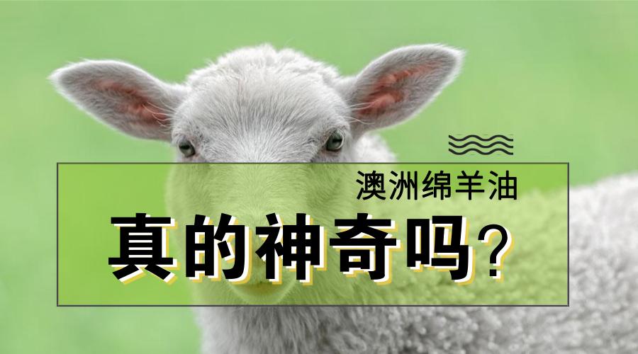 好用澳洲绵羊油,澳洲绵羊油的功效和价格