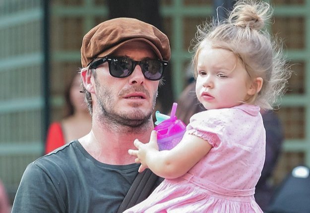 小七哈珀和小贝,小七和布鲁克林图片