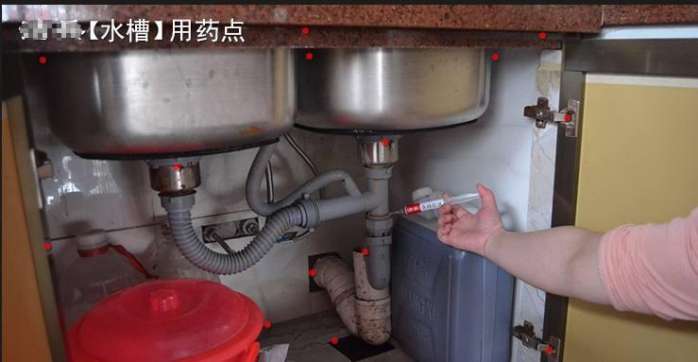 蟑螂窝能彻底清除蟑螂吗,家里蟑螂太多怎样清除蟑螂更彻底