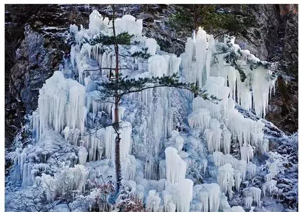 大连春节全攻略,2018大连市旅游攻略