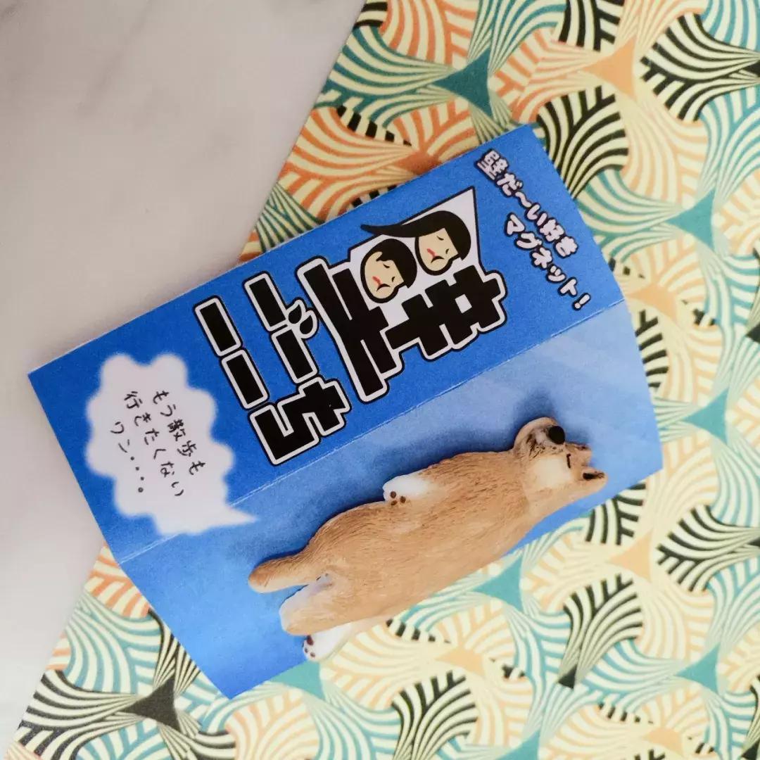 家居好物推荐十月 (3-6月家居好物)