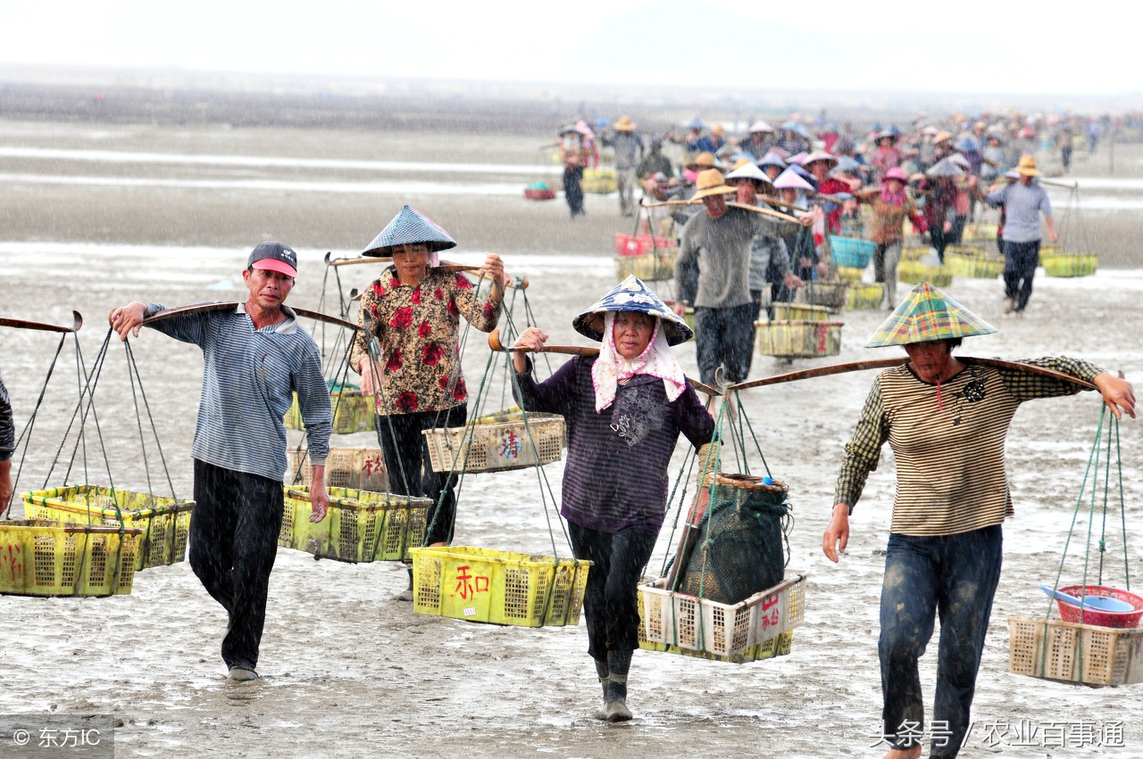 23年养殖业为什么亏本,农村养殖业什么最赚钱又不愁销路